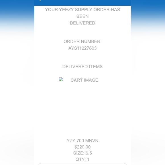 Yeezy Adidas Boost 700 Geode - Picture 5 of 5